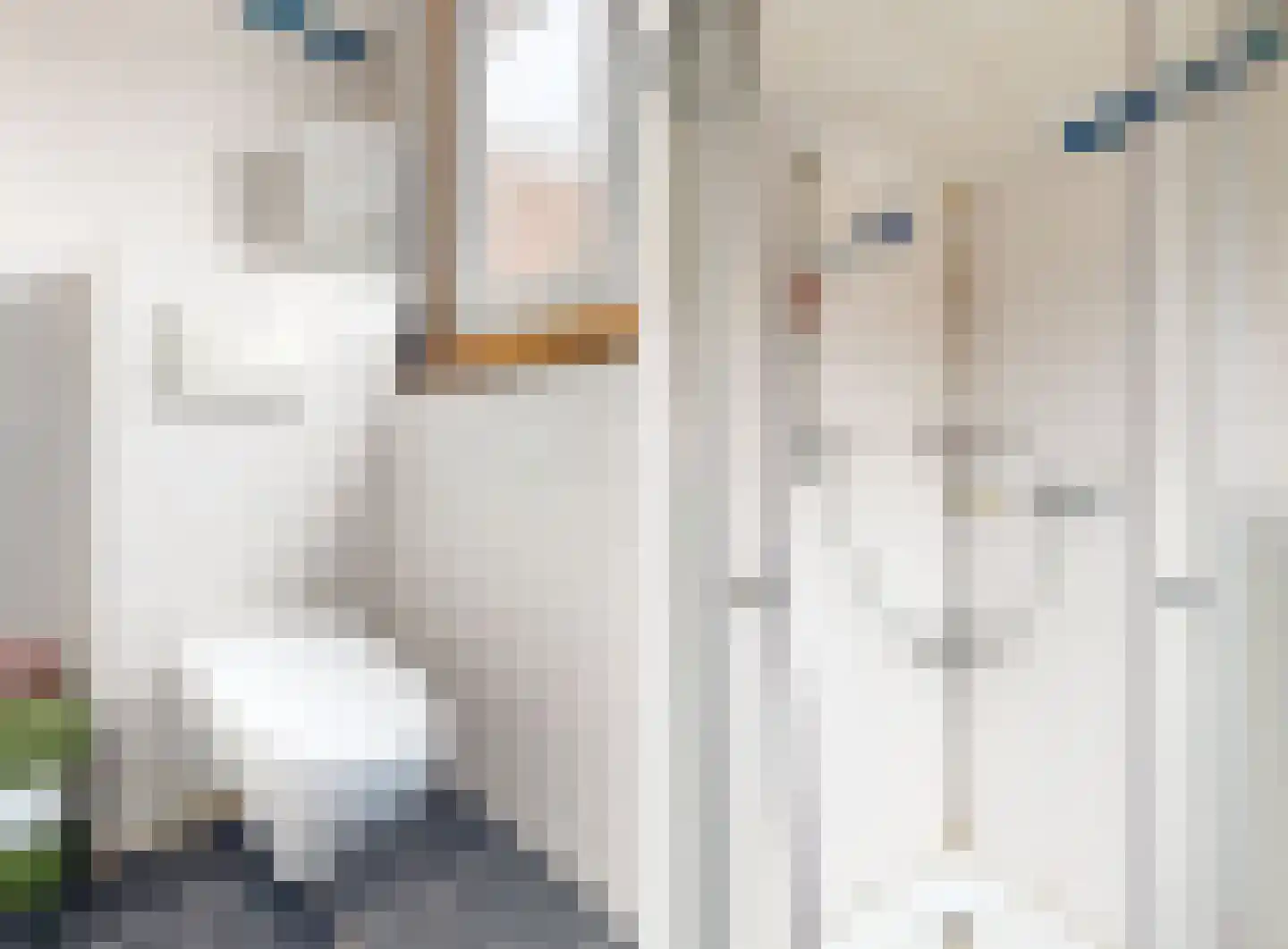 Voorstraat 13 Woerden thumbnail 14