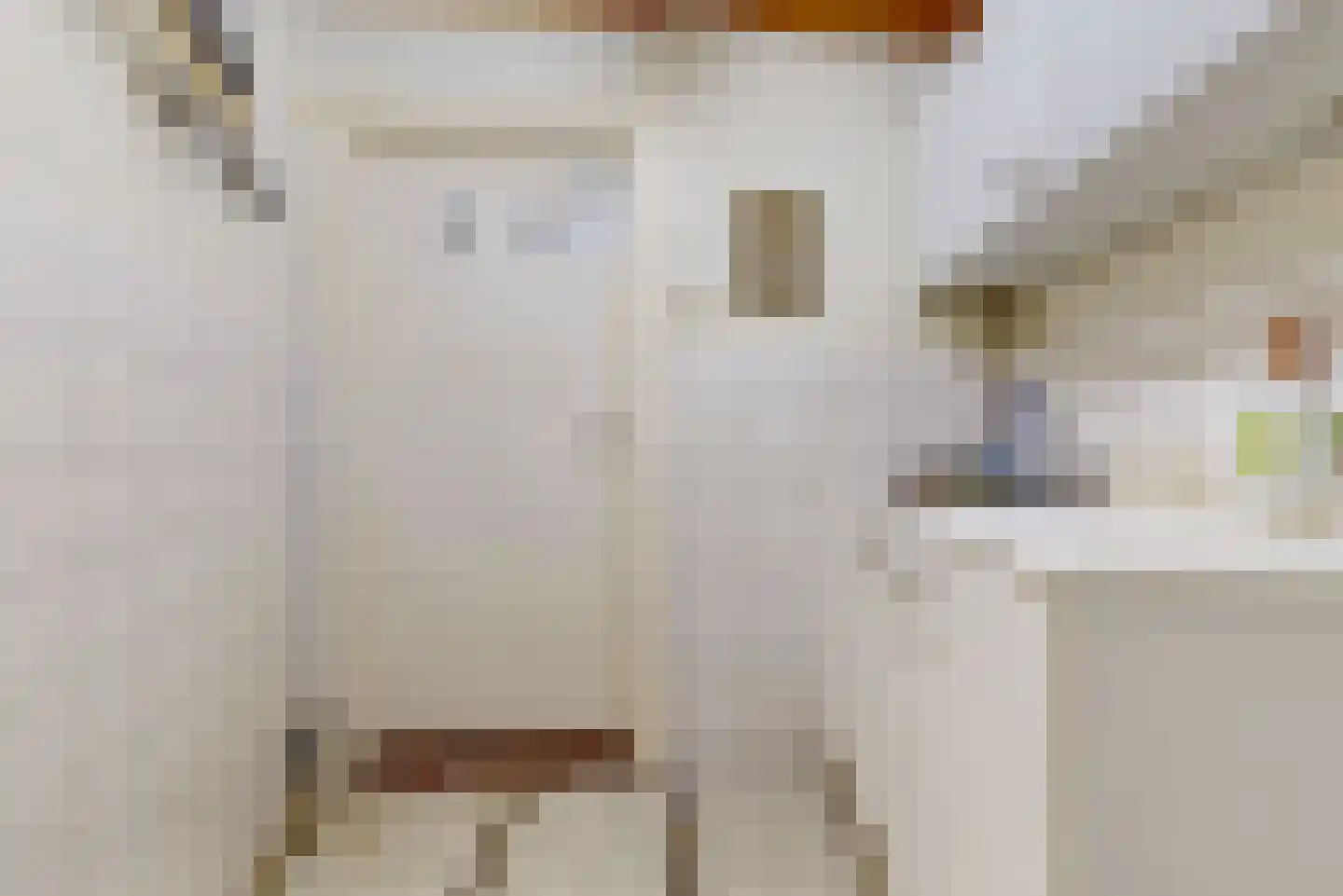 Voorstraat 13 Woerden thumbnail 34