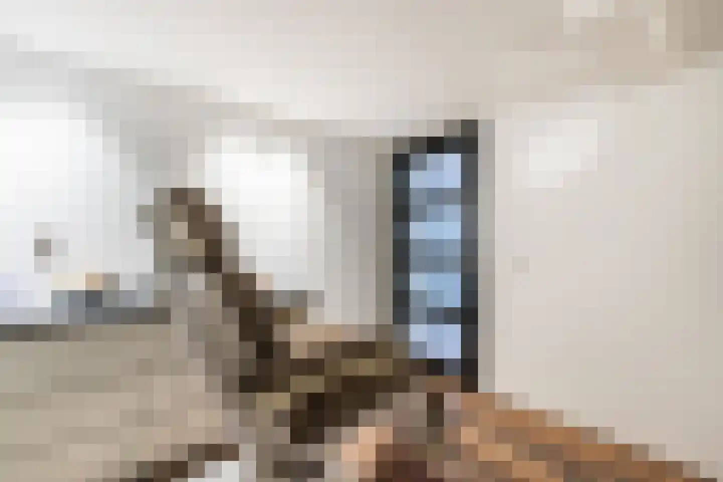 Voorstraat 130 Egmond aan Zee thumbnail 19