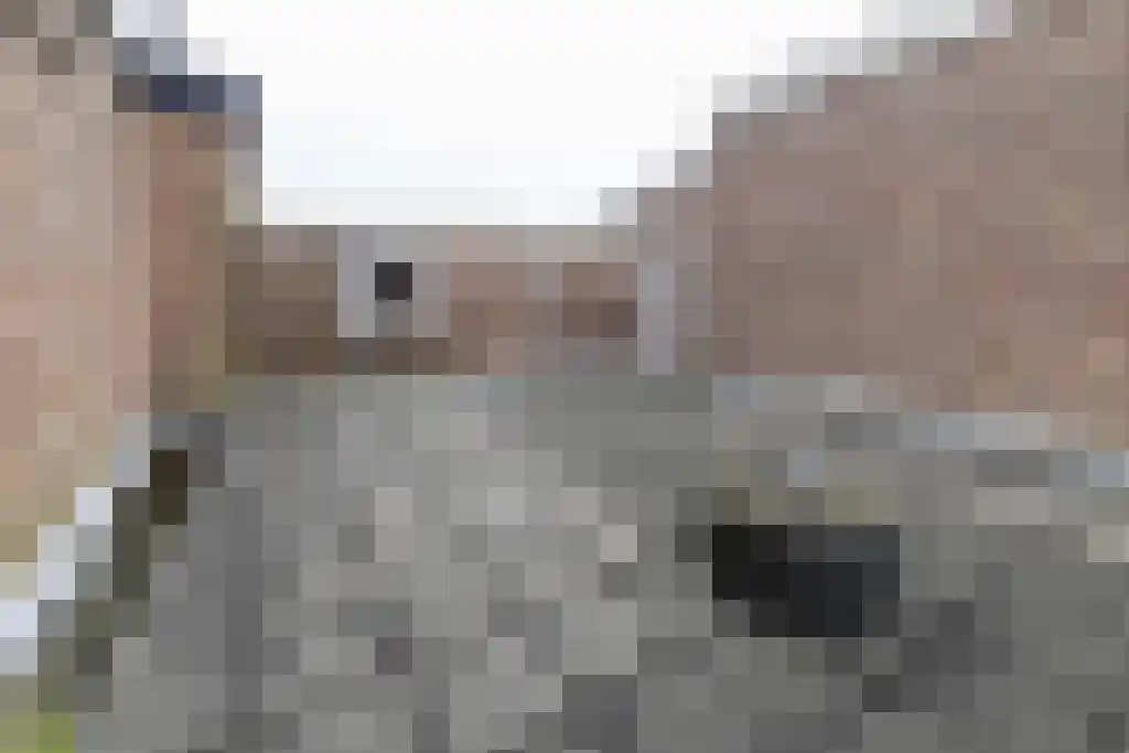Voorstraat 137 Katwijk thumbnail 38