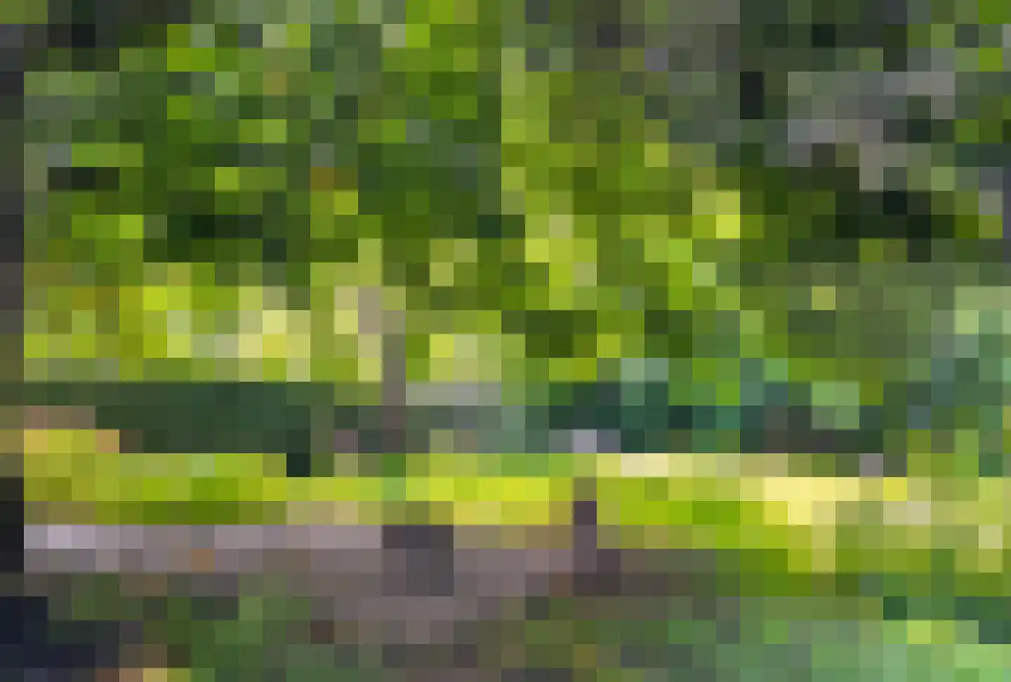 Voorstraat 14 16 Piershil thumbnail 47