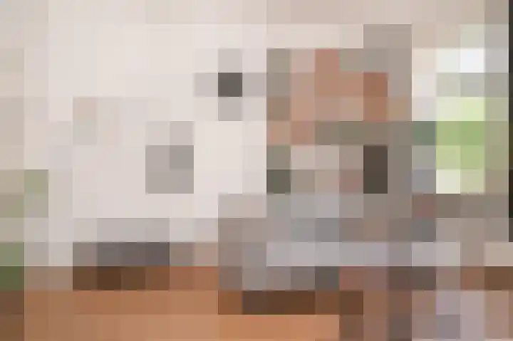 Voorstraat 14 Asperen thumbnail 7