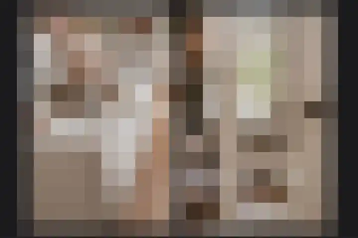 Voorstraat 14 Asperen thumbnail 8