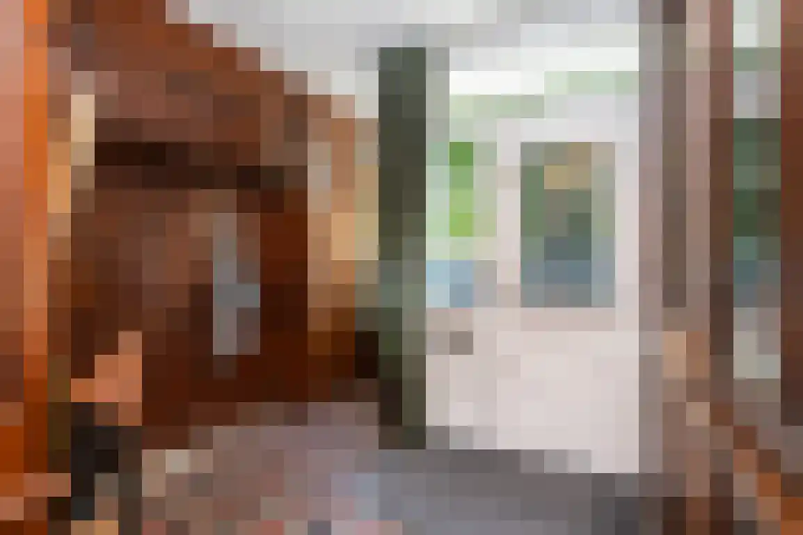 Voorstraat 14 Stellendam thumbnail 6