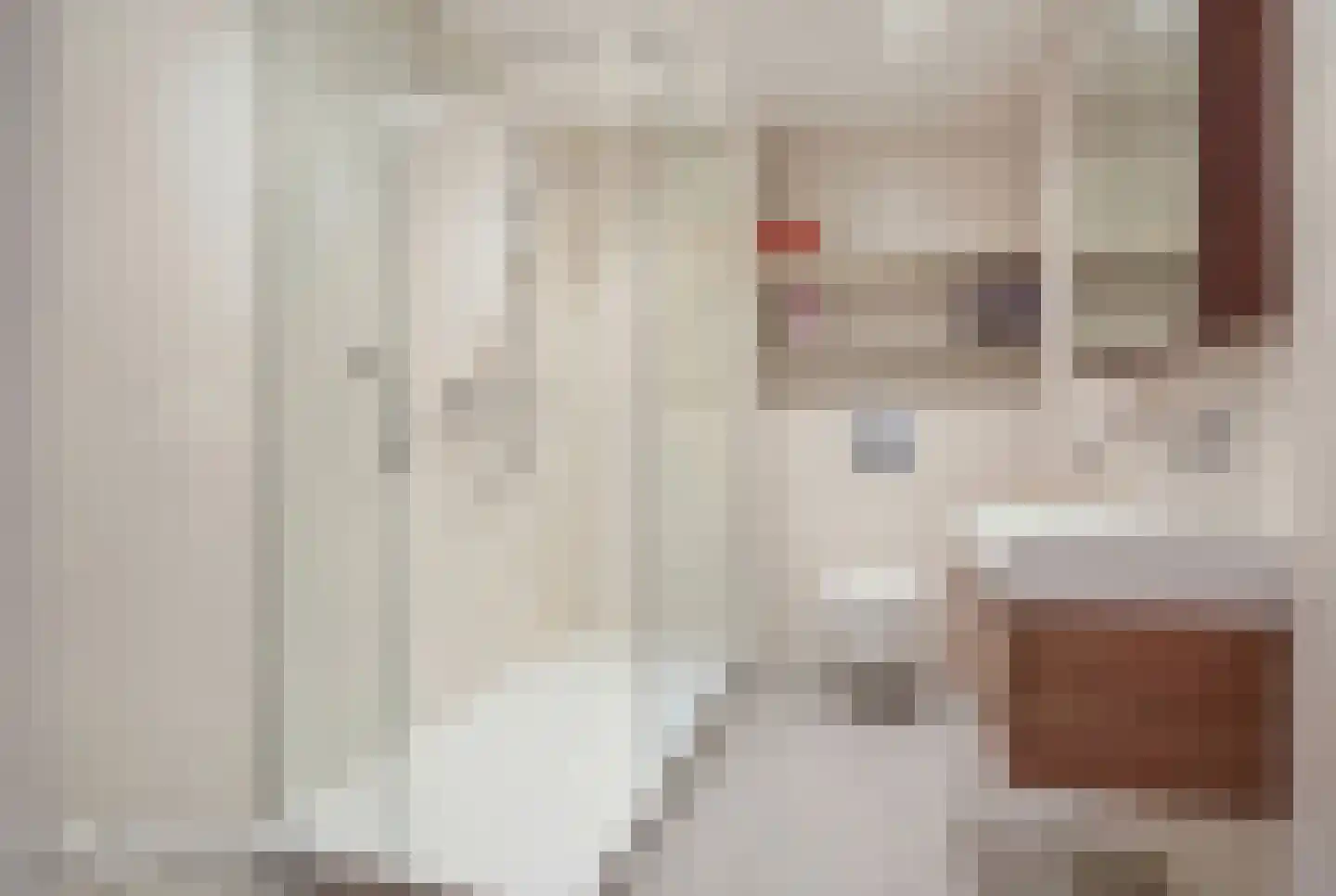 Voorstraat 14 Vlijmen thumbnail 31