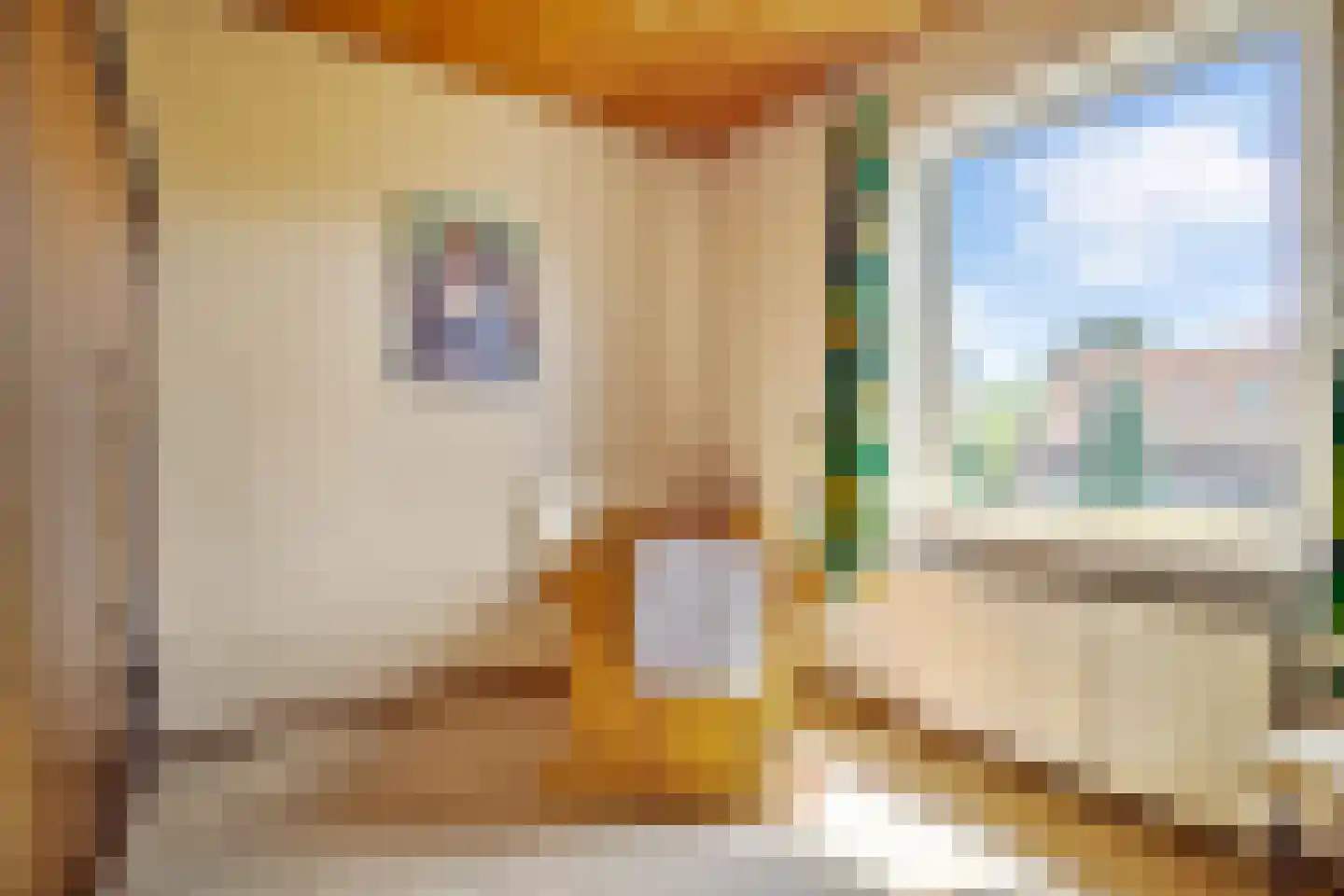 Voorstraat 14 Vlijmen thumbnail 39