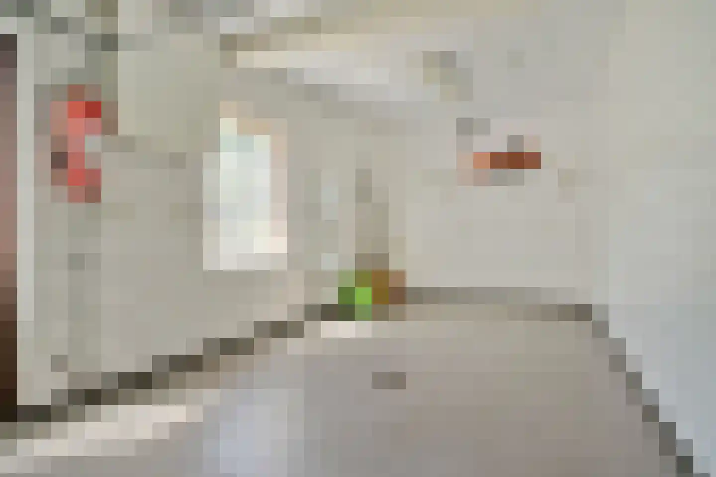 Voorstraat 14 Vlijmen thumbnail 51