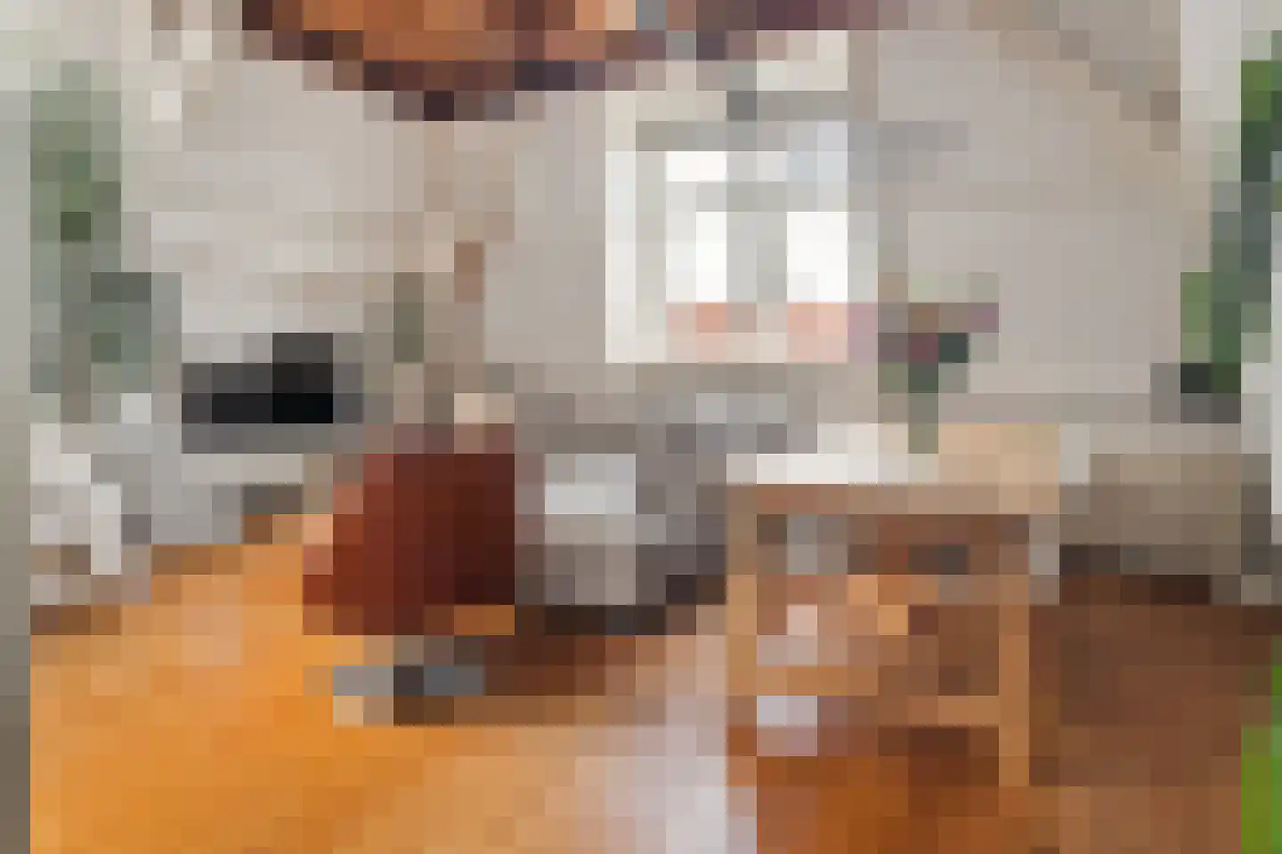 Voorstraat 15 A Utrecht thumbnail 10