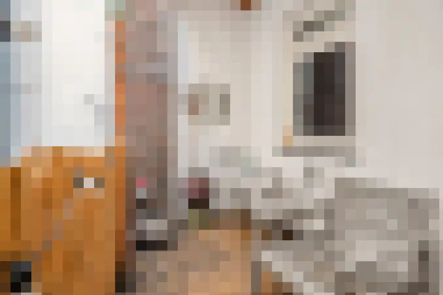 Voorstraat 15 A Utrecht thumbnail 16