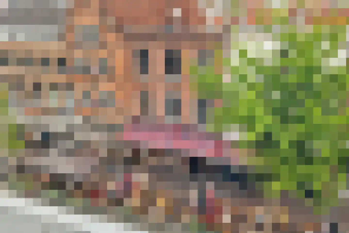 Voorstraat 15 A Utrecht thumbnail 27
