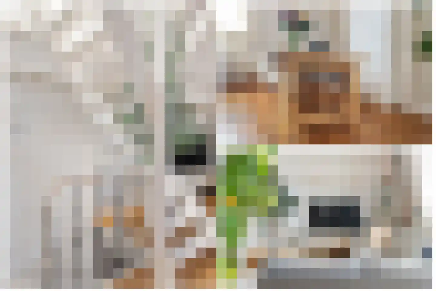 Voorstraat 15 A Utrecht thumbnail 7