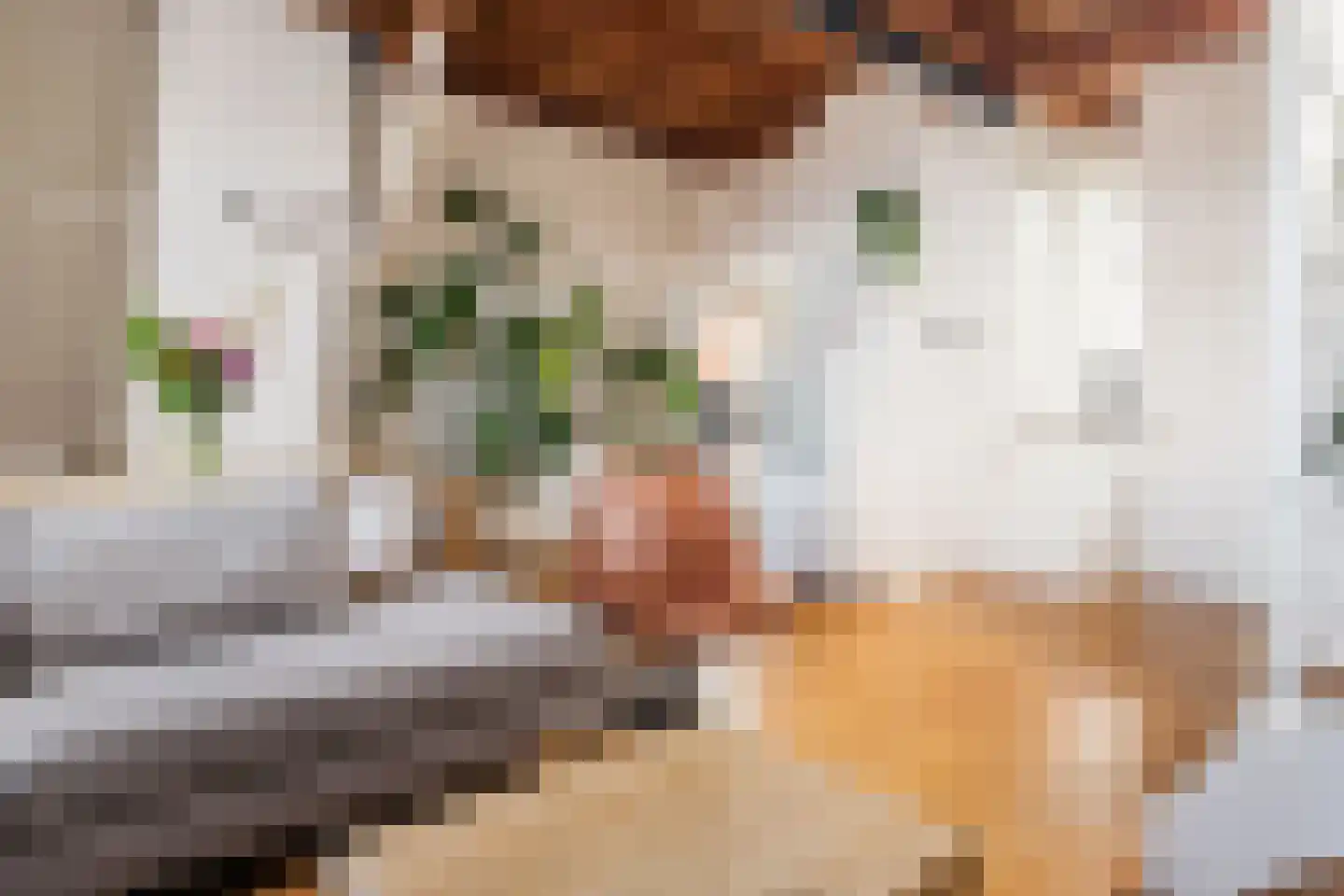 Voorstraat 15 A Utrecht thumbnail 8