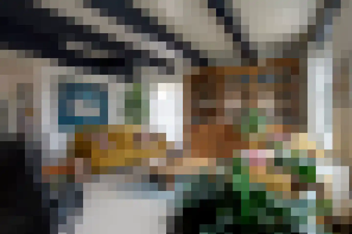Voorstraat 15 Bad Nieuweschans thumbnail 11