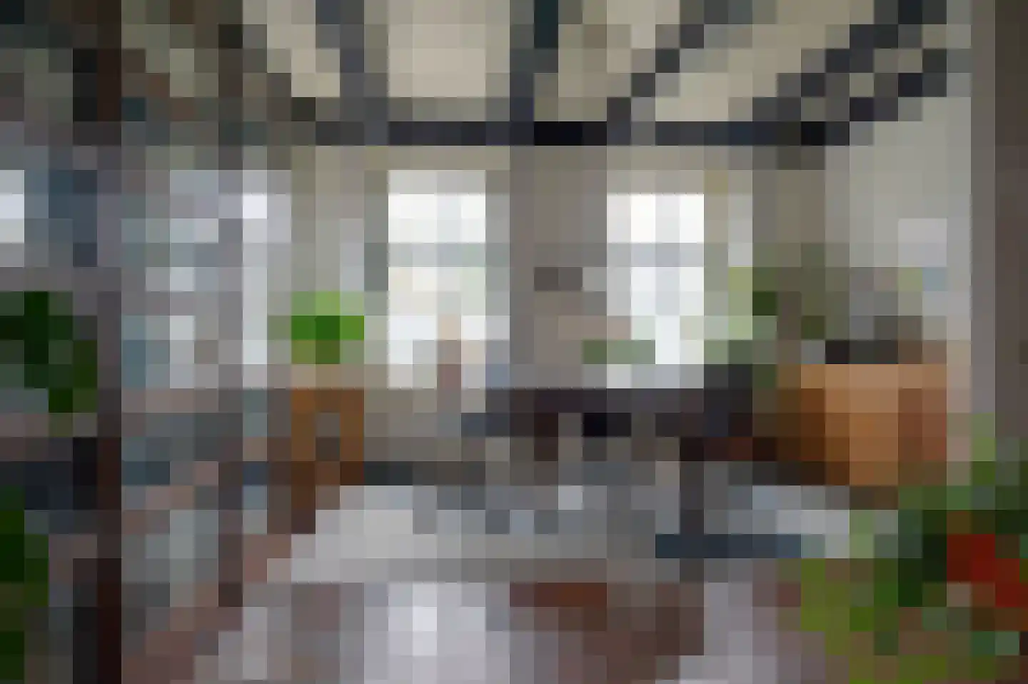 Voorstraat 15 Bad Nieuweschans thumbnail 15
