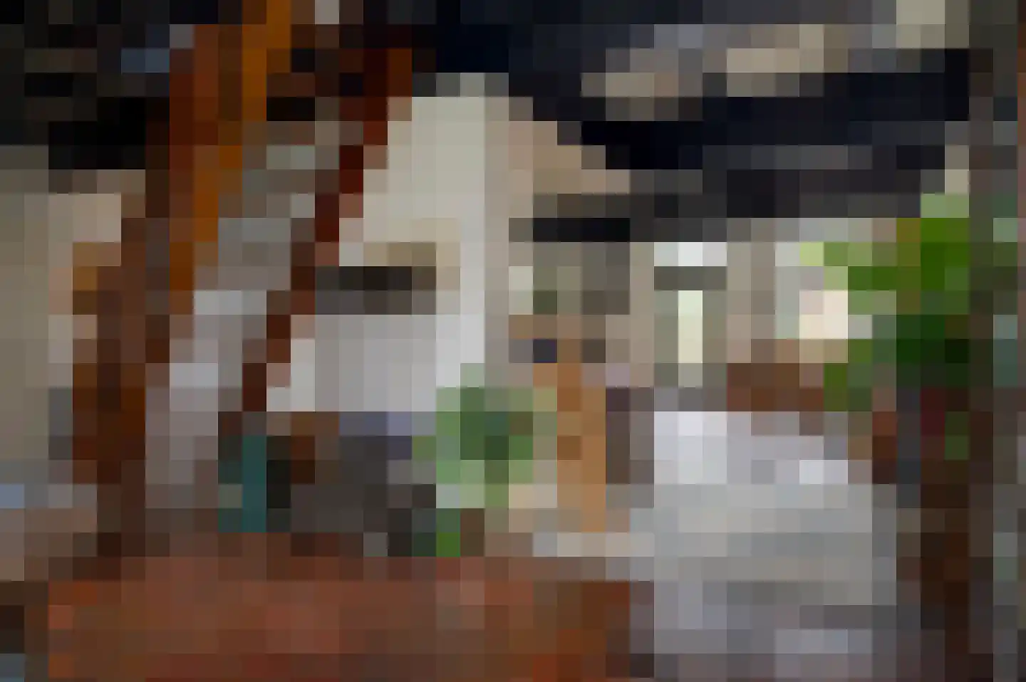 Voorstraat 15 Bad Nieuweschans thumbnail 18