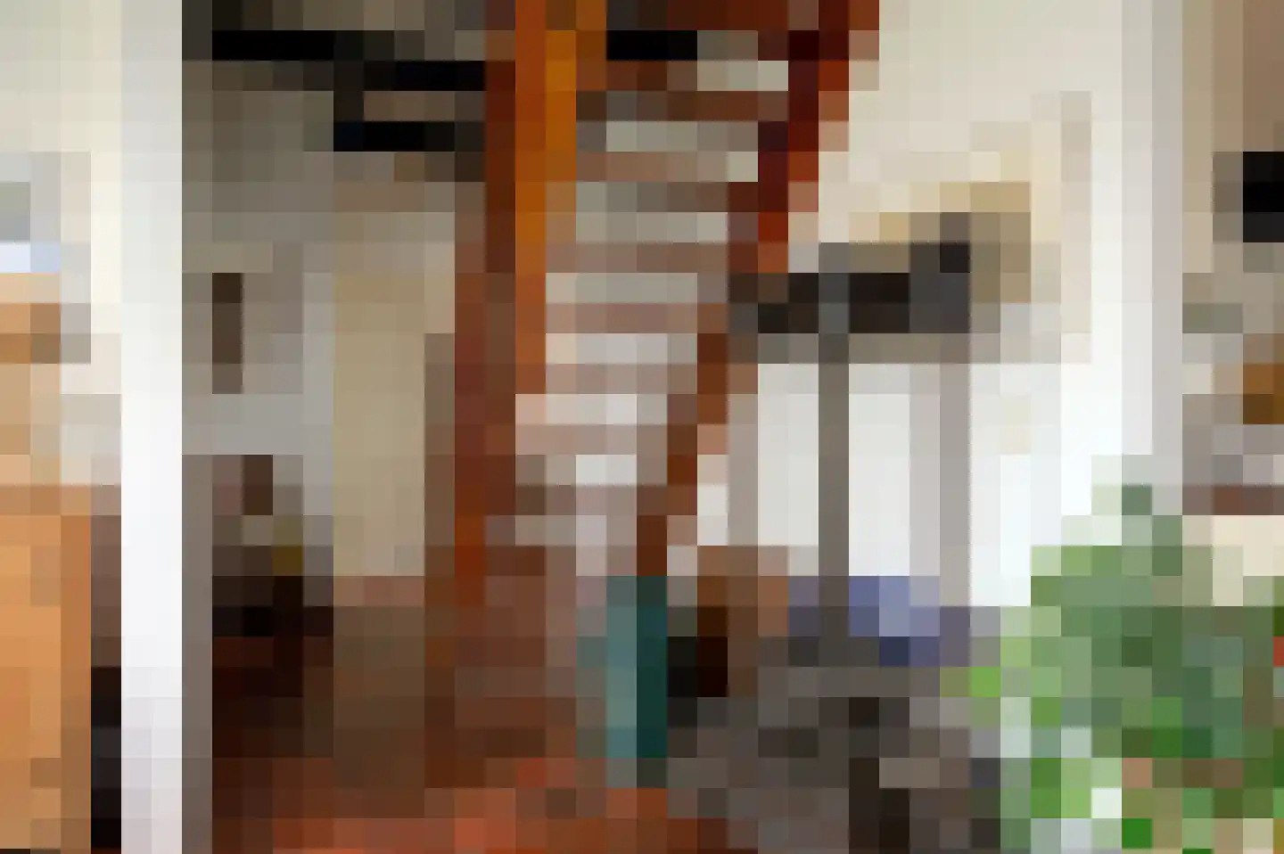 Voorstraat 15 Bad Nieuweschans thumbnail 19