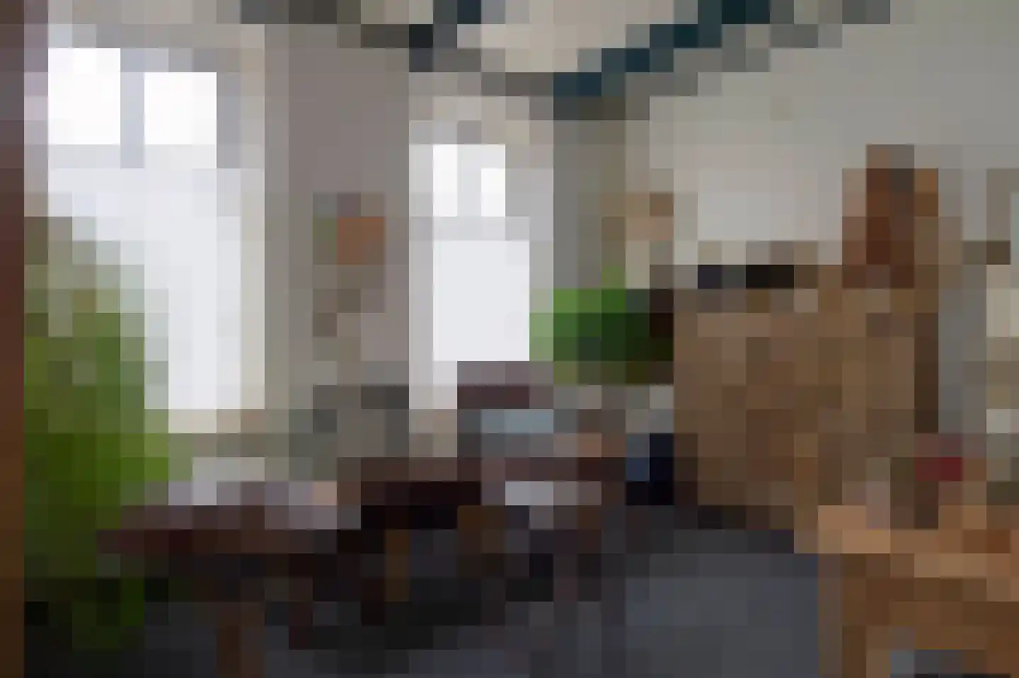 Voorstraat 15 Bad Nieuweschans thumbnail 20