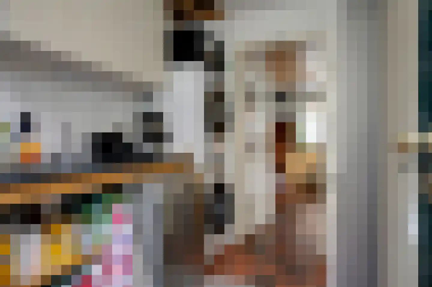 Voorstraat 15 Bad Nieuweschans thumbnail 21