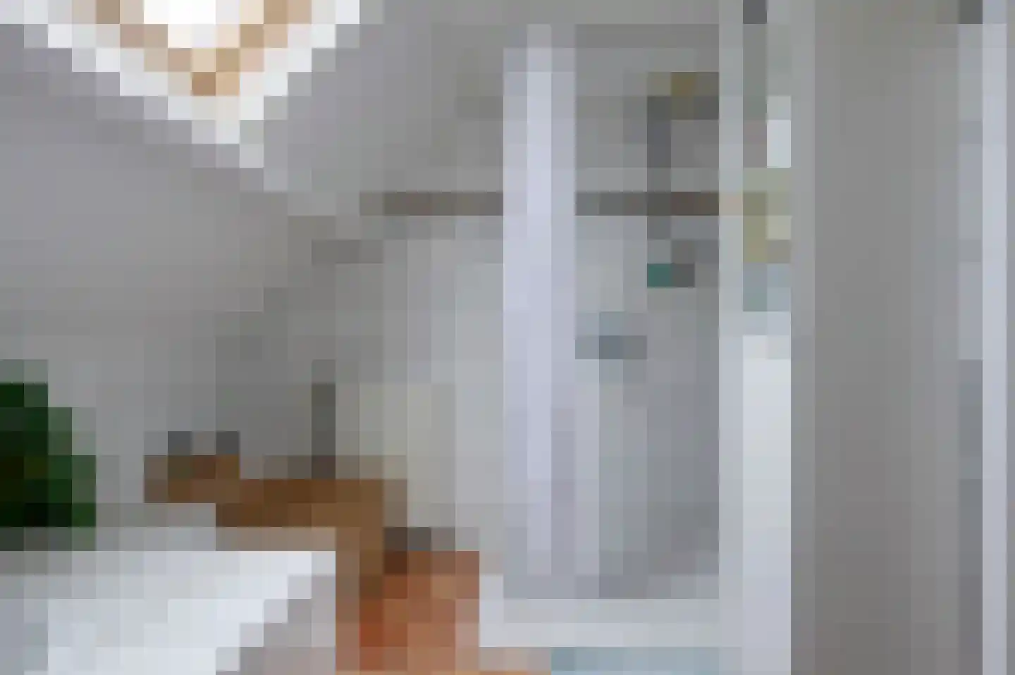 Voorstraat 15 Bad Nieuweschans thumbnail 32