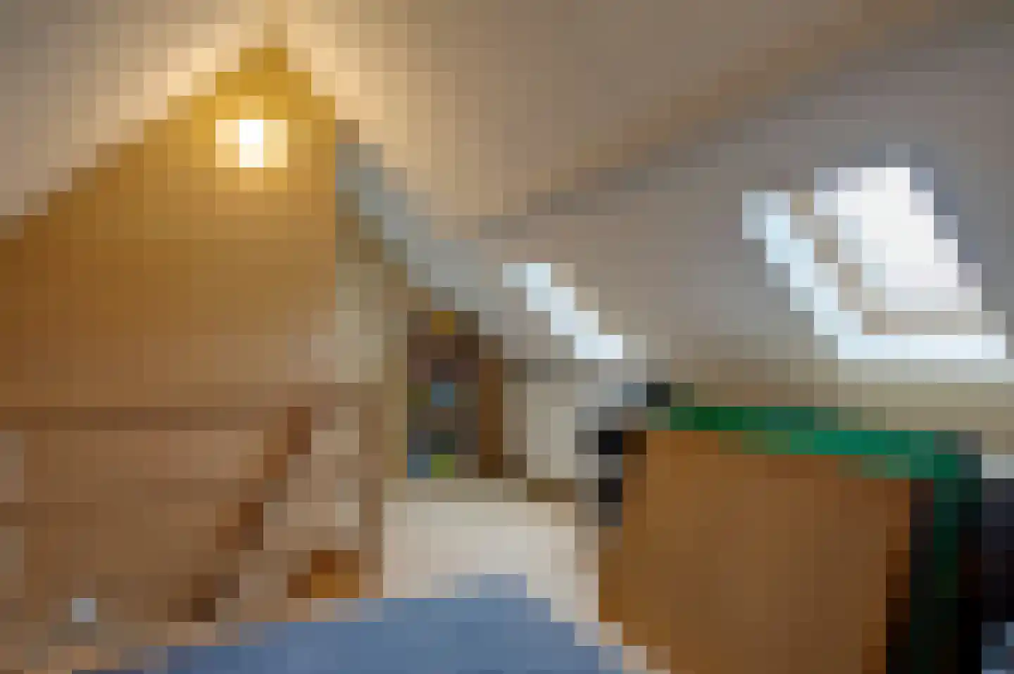 Voorstraat 15 Bad Nieuweschans thumbnail 34