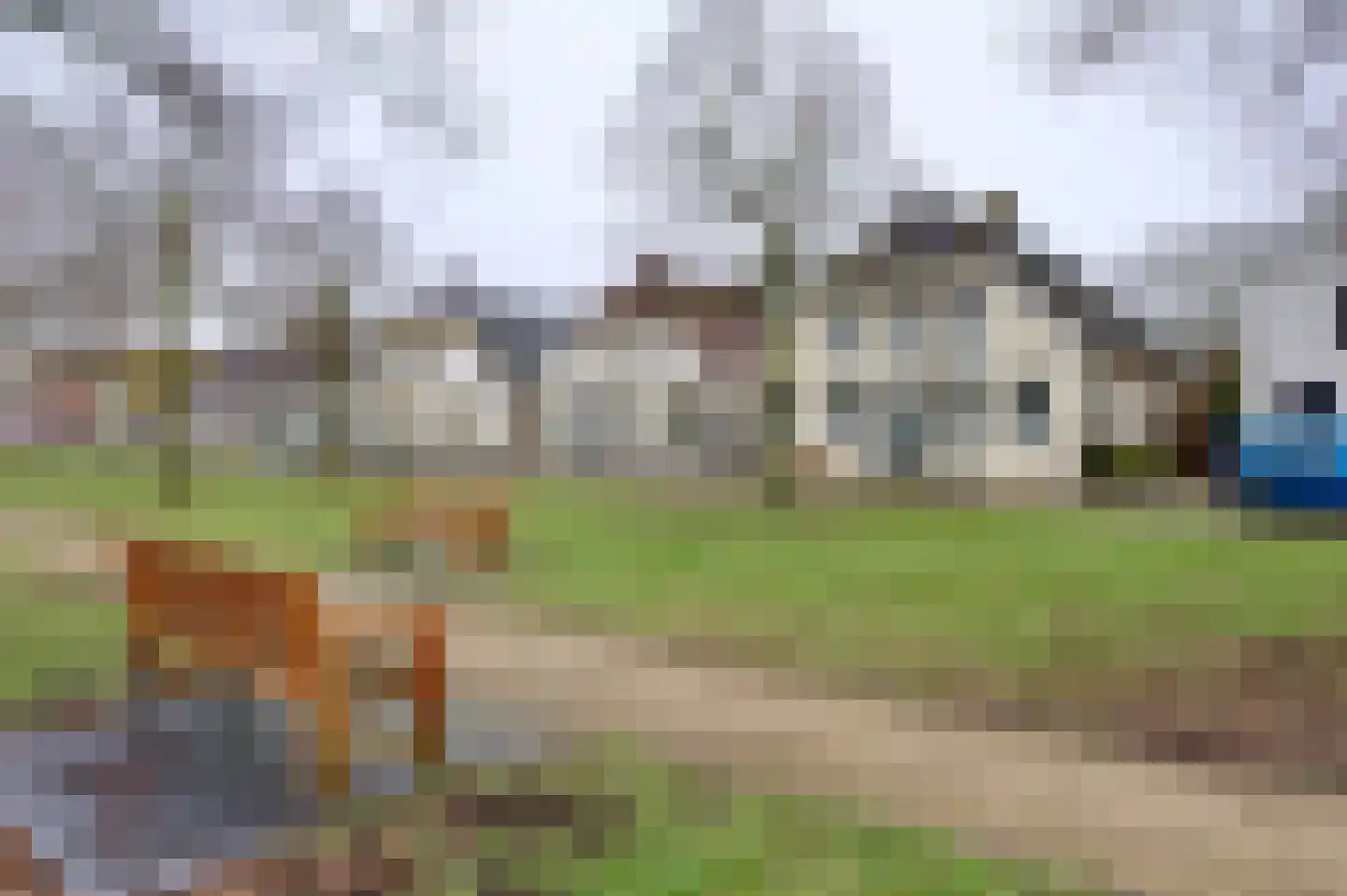 Voorstraat 15 Bad Nieuweschans thumbnail 38