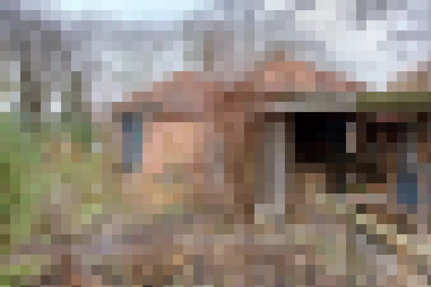 Voorstraat 15 Bad Nieuweschans thumbnail 42