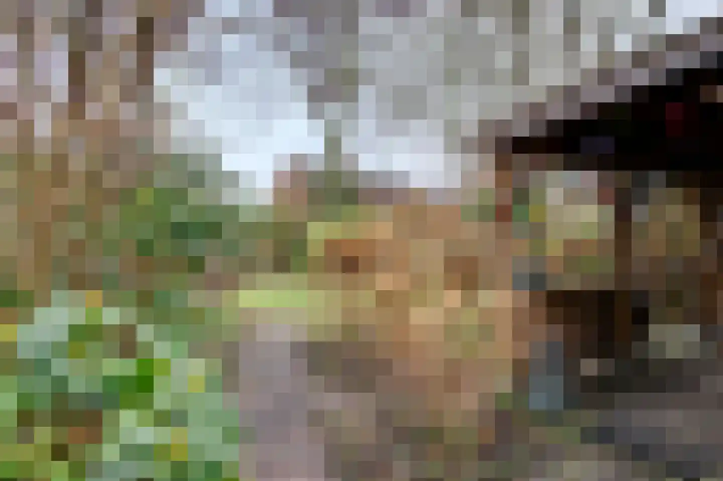 Voorstraat 15 Bad Nieuweschans thumbnail 8