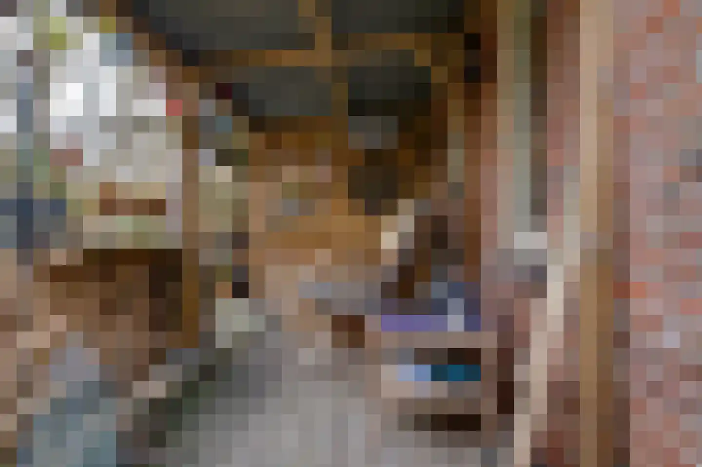 Voorstraat 15 Bad Nieuweschans thumbnail 9