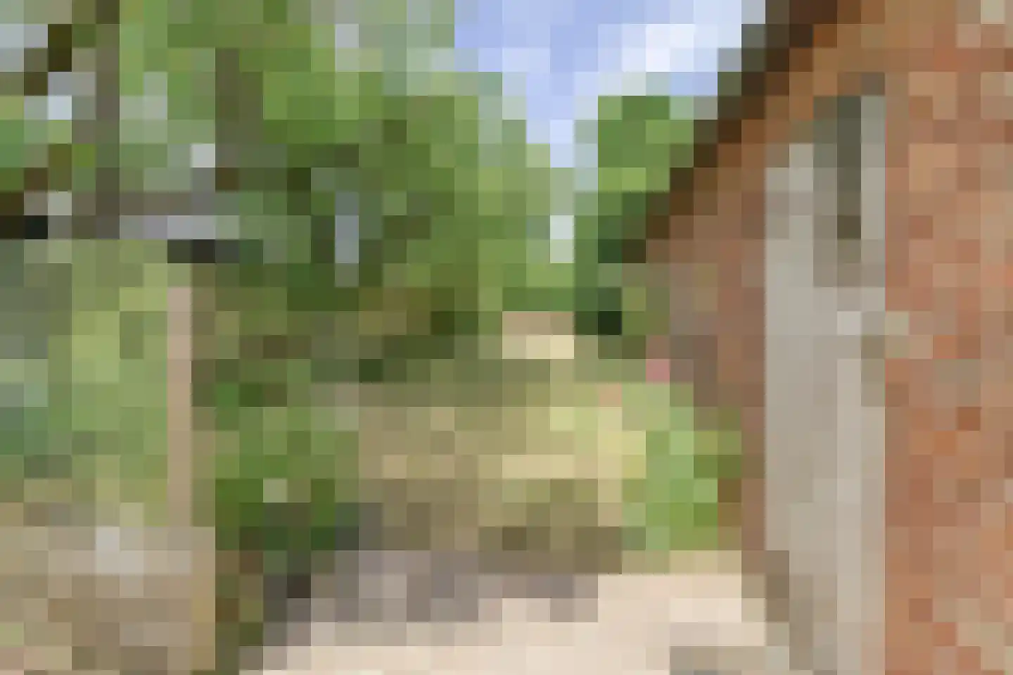 Voorstraat 15 Groede thumbnail 23