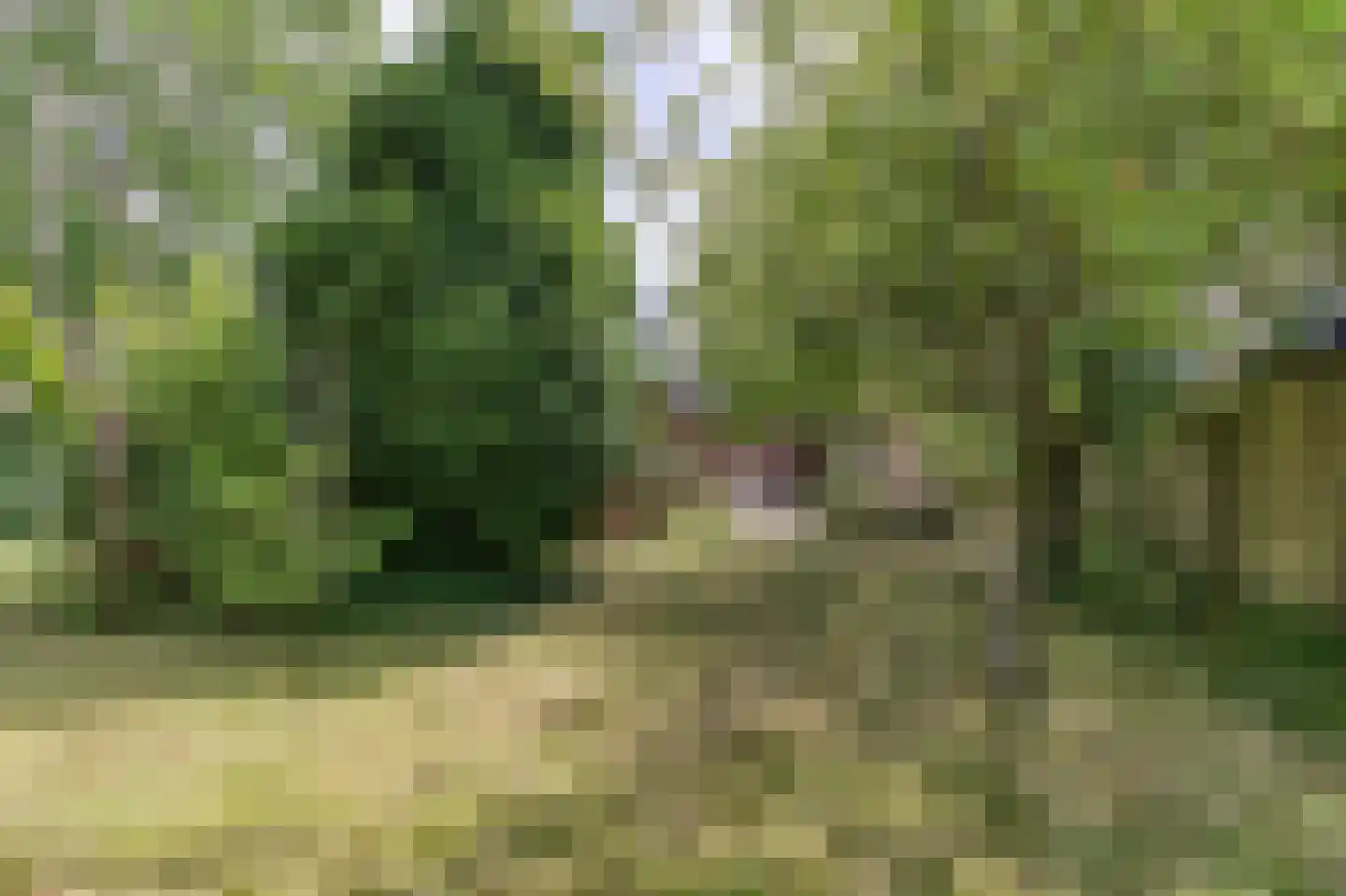 Voorstraat 15 Groede thumbnail 24