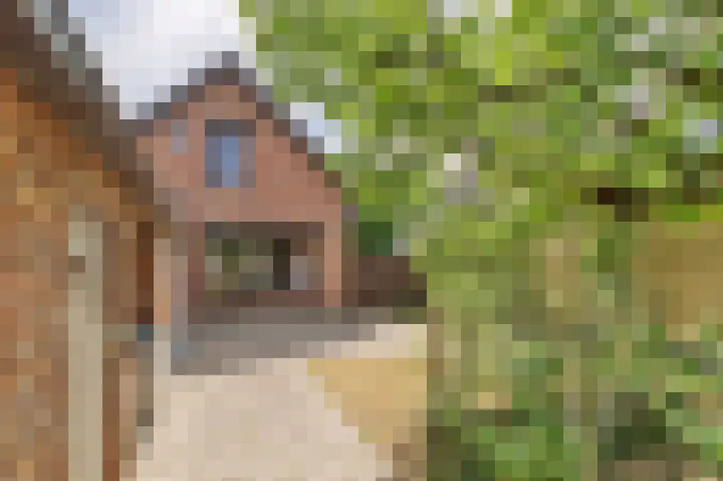 Voorstraat 15 Groede thumbnail 26