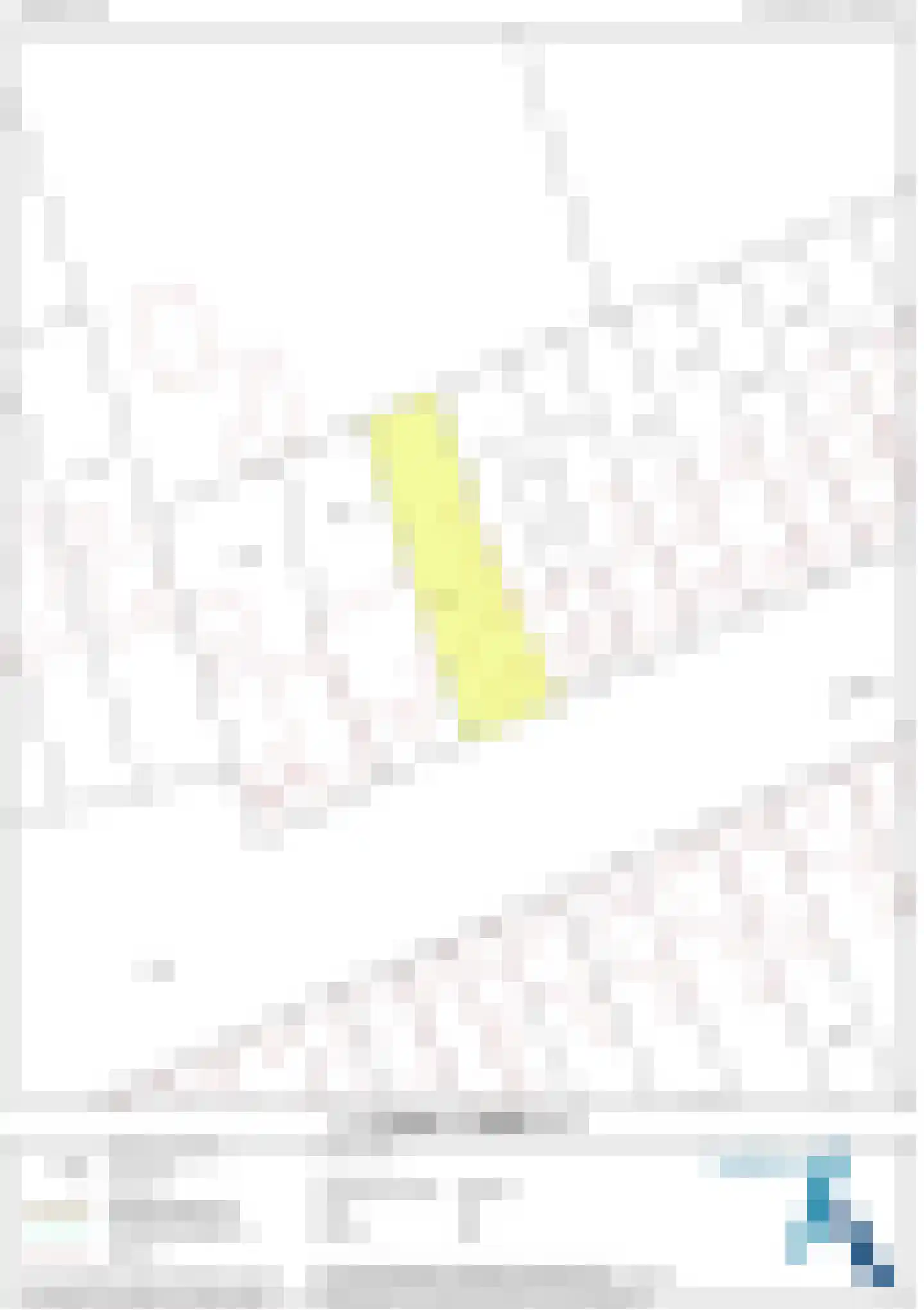 Voorstraat 15 Groede thumbnail 29