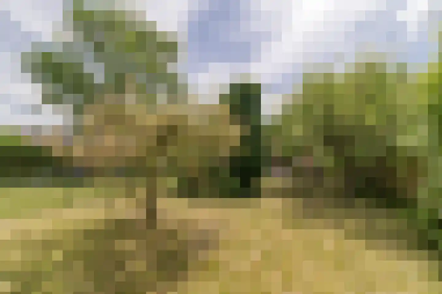 Voorstraat 15 Groede thumbnail 4