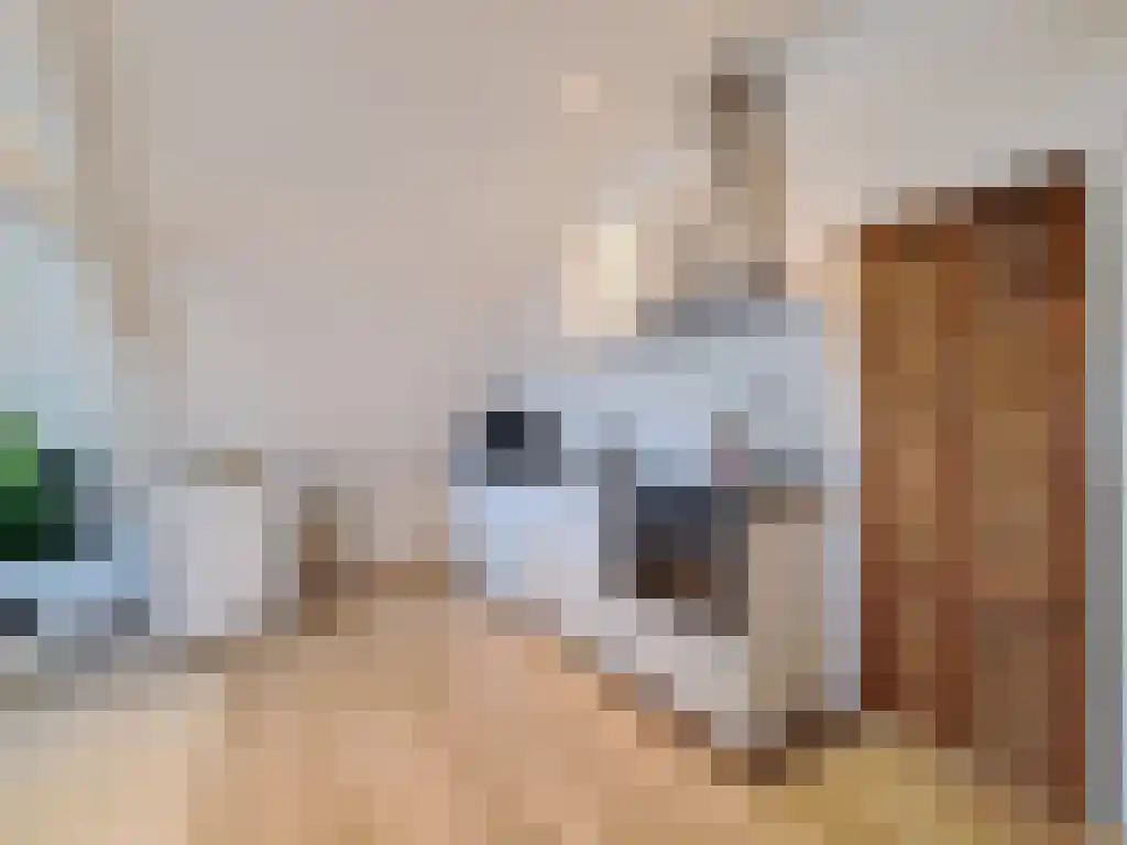Voorstraat 15 Numansdorp thumbnail 6