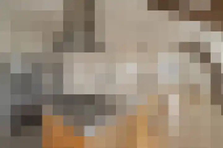 Voorstraat 153 A Noordwijk thumbnail 14