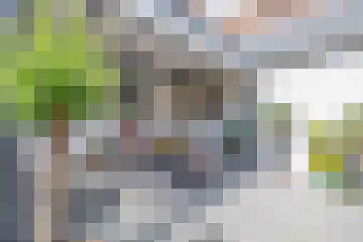 Voorstraat 16 a Oude-Tonge thumbnail 30