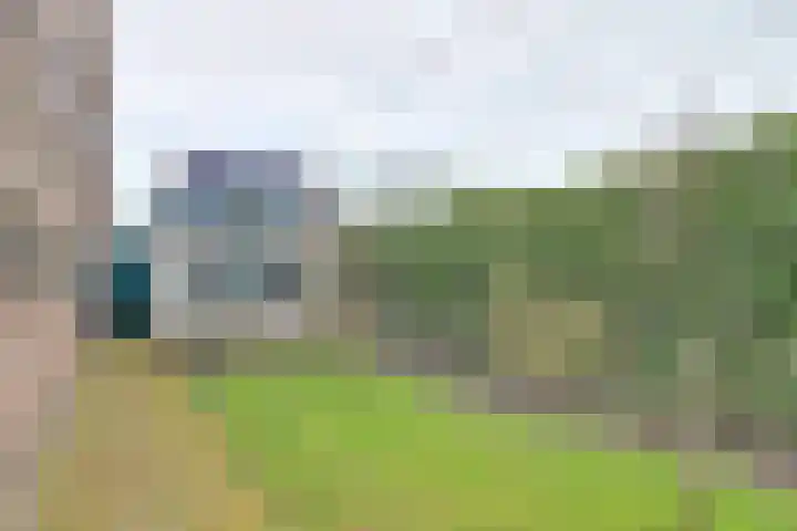 Voorstraat 16 Wissenkerke thumbnail 22