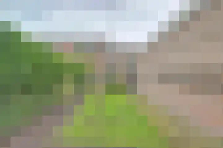 Voorstraat 16 Wissenkerke thumbnail 4