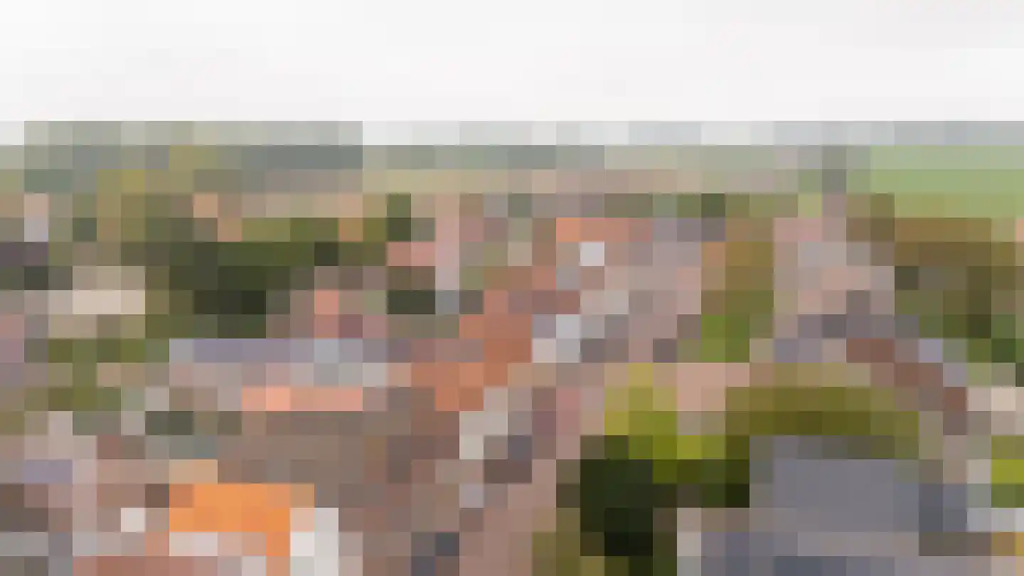 Voorstraat 17 a Melissant thumbnail 33