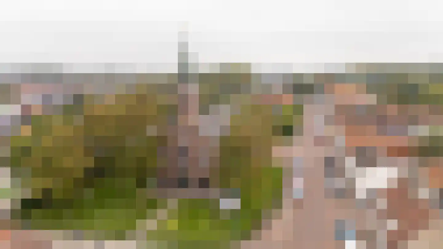 Voorstraat 17 a Melissant thumbnail 35