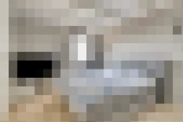 Voorstraat 17 Middelharnis thumbnail 15