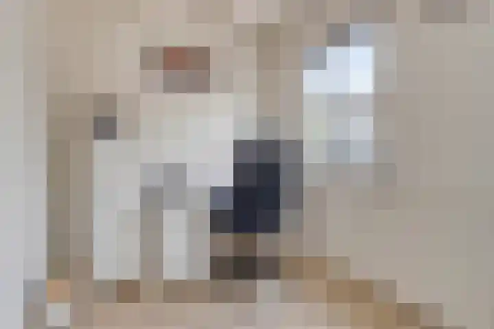 Voorstraat 17 Middelharnis thumbnail 18