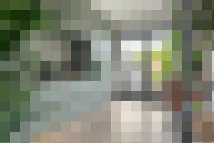 Voorstraat 17 Stavoren thumbnail 10