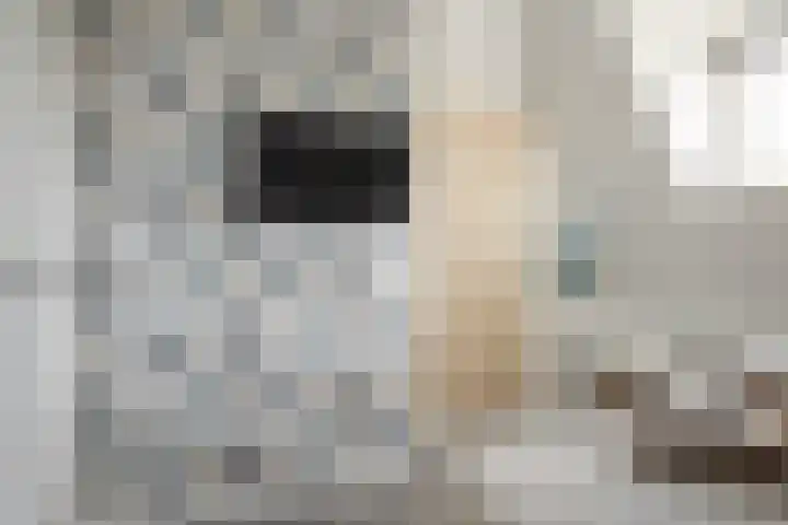 Voorstraat 17 Stavoren thumbnail 22