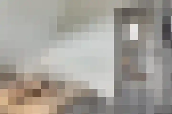 Voorstraat 17 Stavoren thumbnail 23