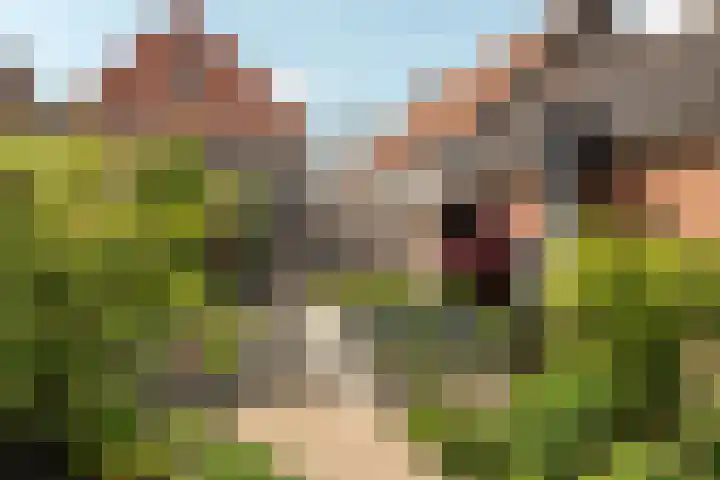 Voorstraat 17 Stavoren thumbnail 28