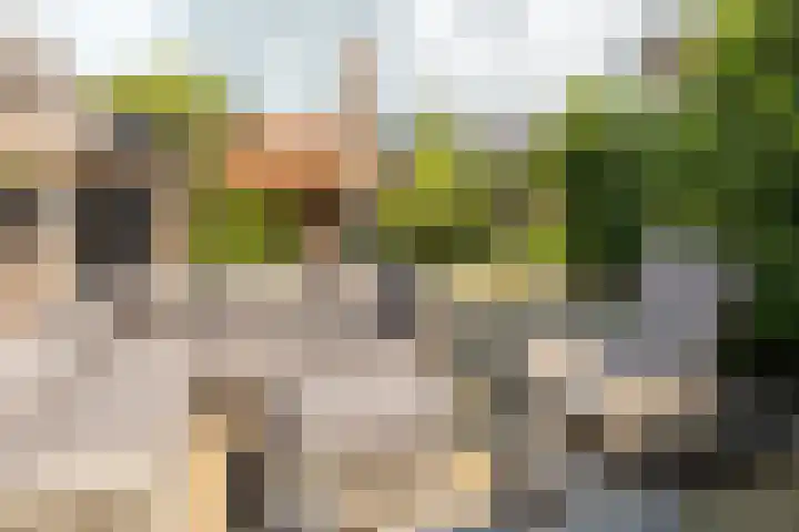 Voorstraat 17 Stavoren thumbnail 37