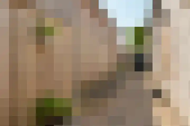 Voorstraat 17 Stavoren thumbnail 39