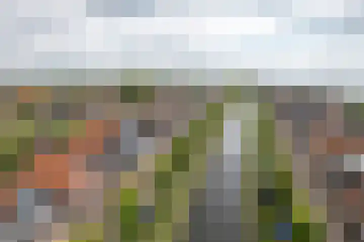 Voorstraat 17 Stavoren thumbnail 41