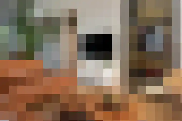 Voorstraat 17 Stavoren thumbnail 7